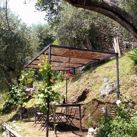 Il Giaggiolo Βίλα Camaiore Εξωτερικό φωτογραφία