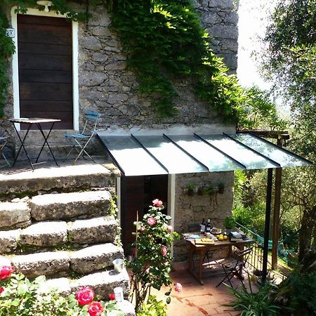 Il Giaggiolo Βίλα Camaiore Εξωτερικό φωτογραφία