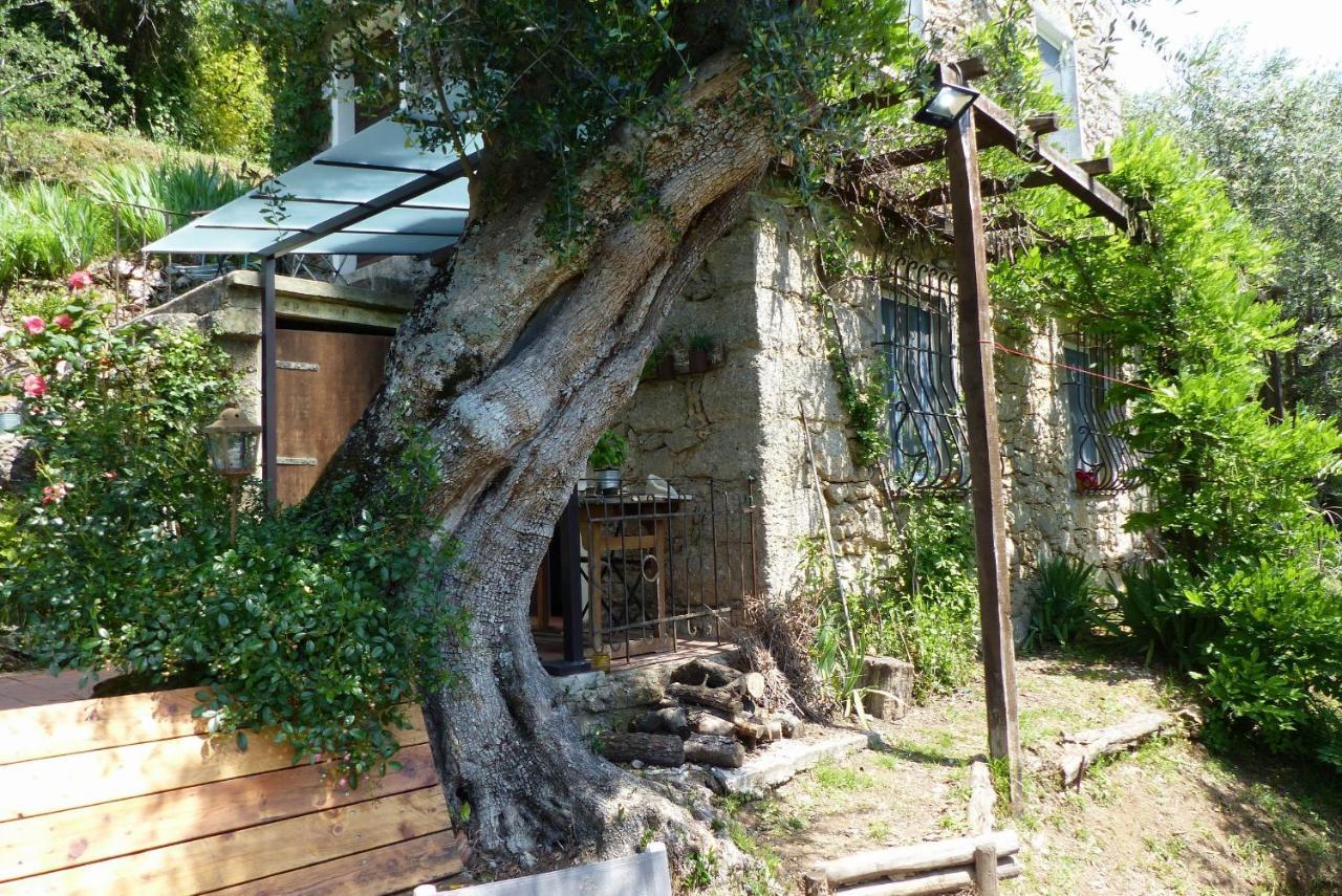 Il Giaggiolo Βίλα Camaiore Εξωτερικό φωτογραφία
