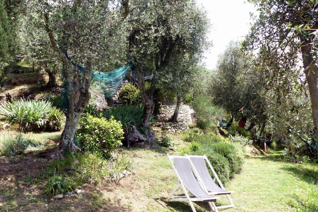 Il Giaggiolo Βίλα Camaiore Εξωτερικό φωτογραφία