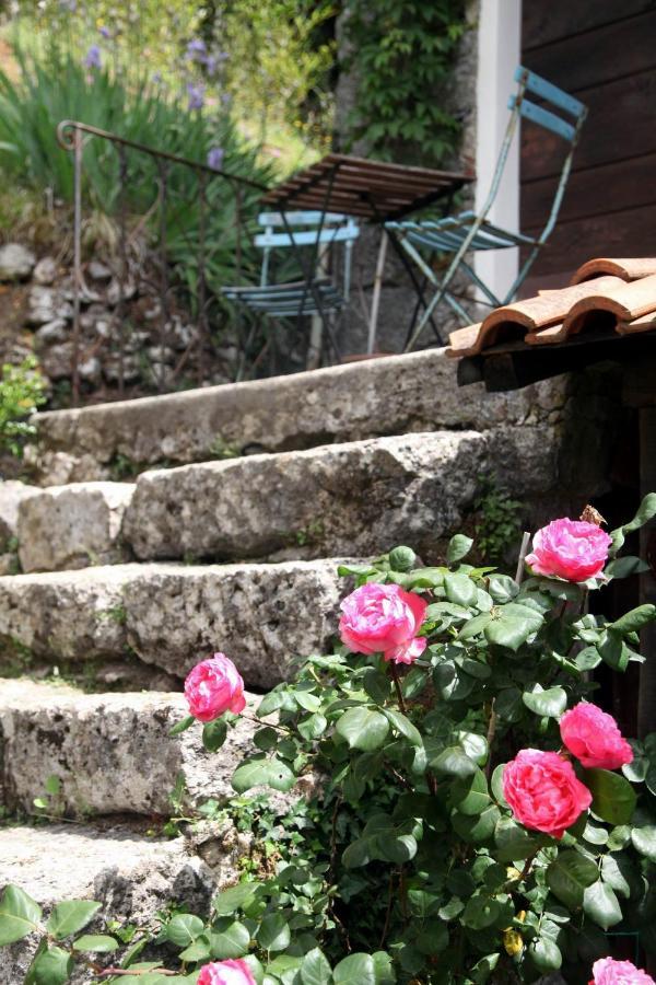 Il Giaggiolo Βίλα Camaiore Εξωτερικό φωτογραφία