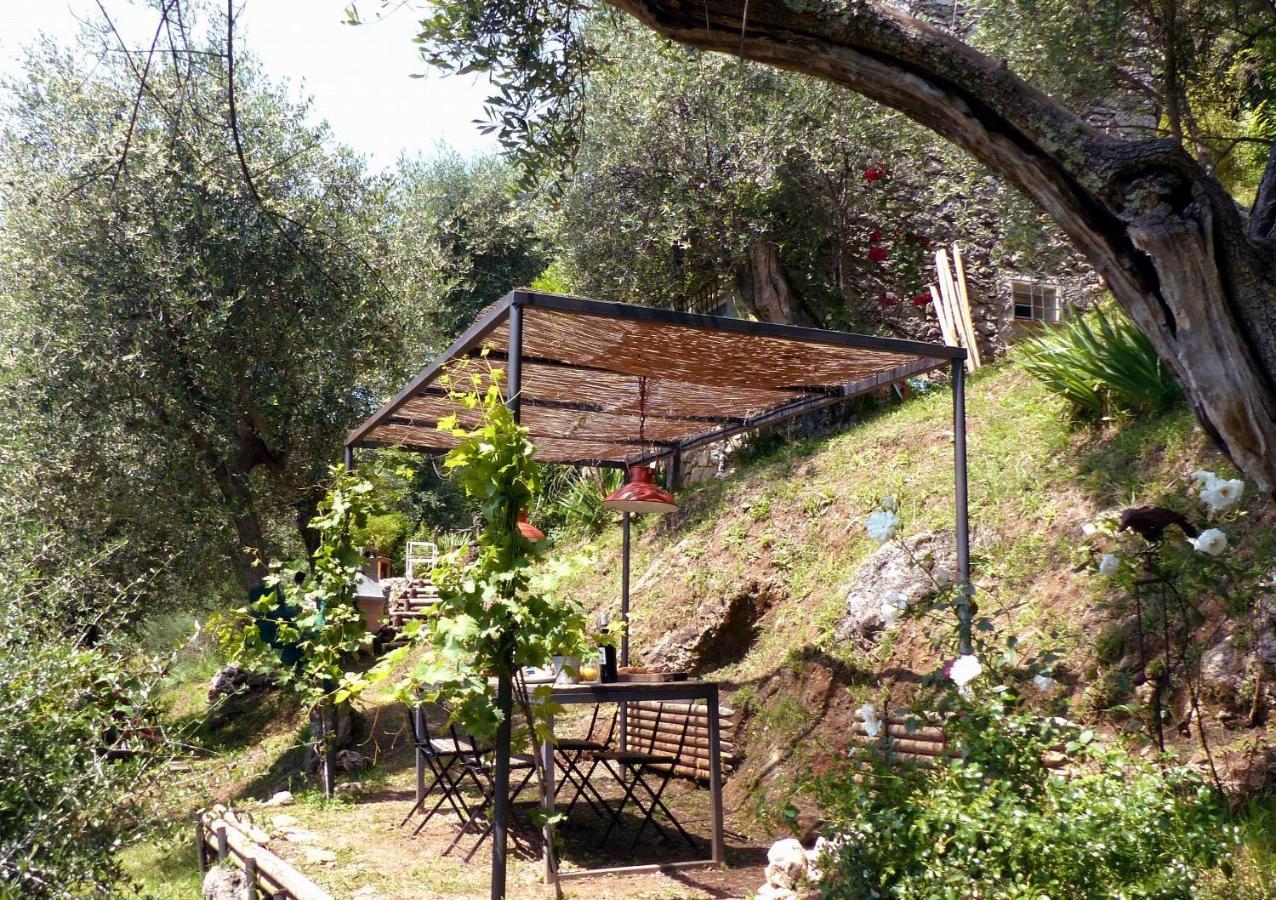Il Giaggiolo Βίλα Camaiore Εξωτερικό φωτογραφία