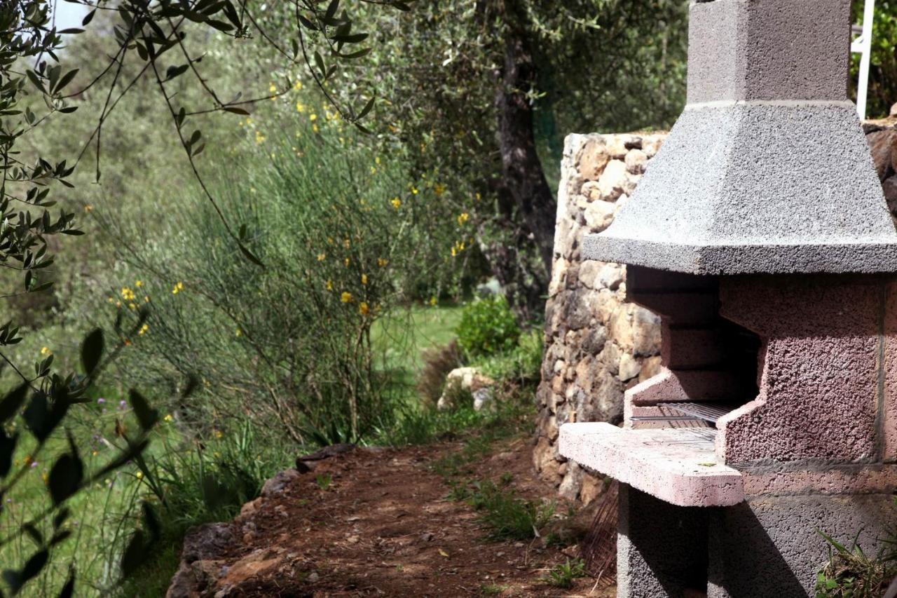 Il Giaggiolo Βίλα Camaiore Εξωτερικό φωτογραφία