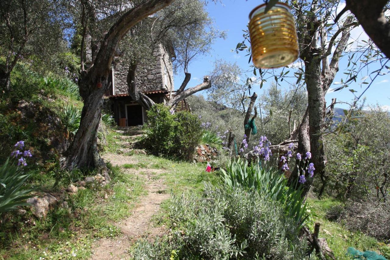 Il Giaggiolo Βίλα Camaiore Εξωτερικό φωτογραφία