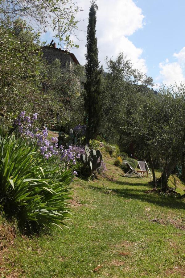 Il Giaggiolo Βίλα Camaiore Εξωτερικό φωτογραφία