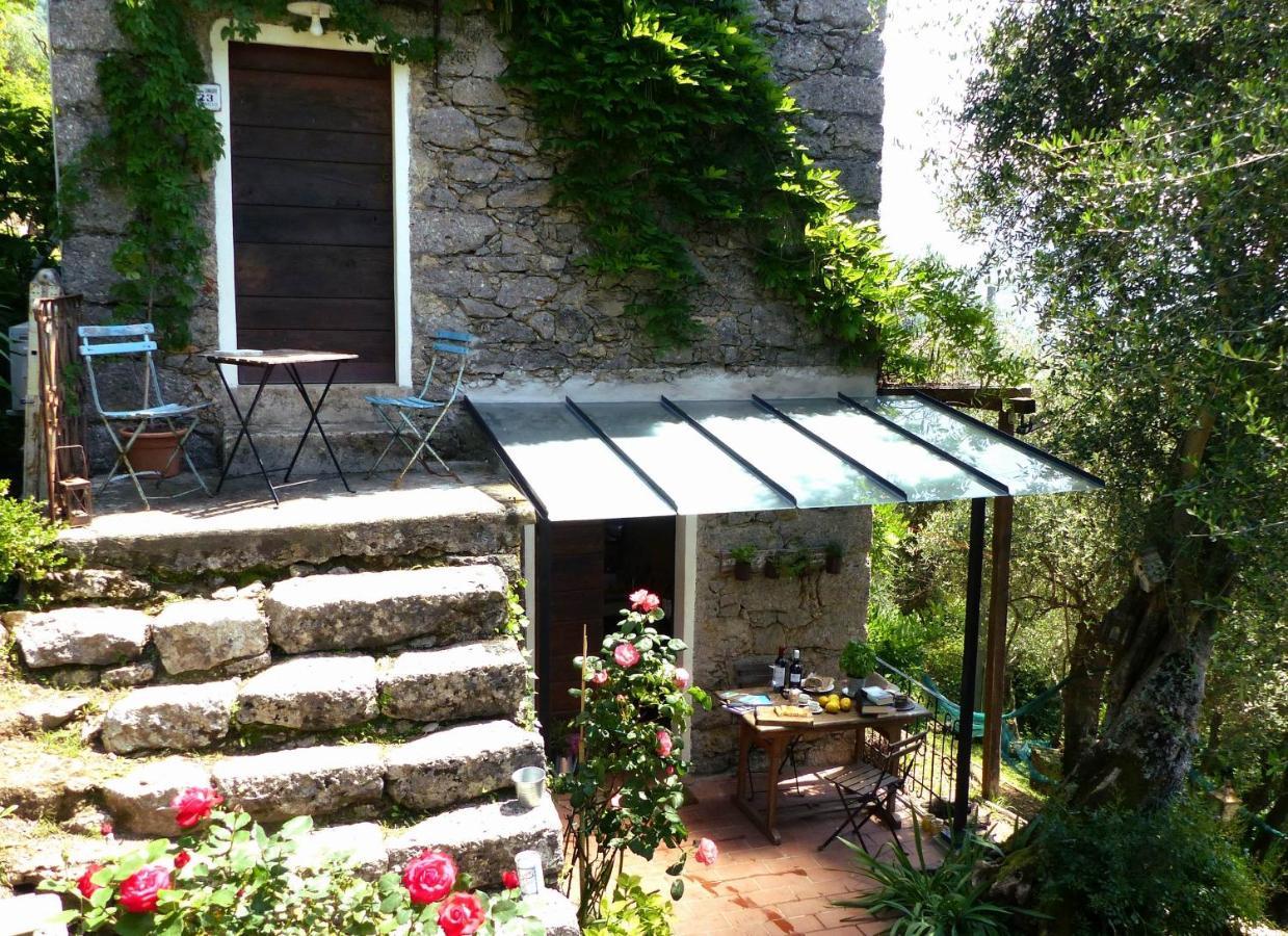 Il Giaggiolo Βίλα Camaiore Εξωτερικό φωτογραφία