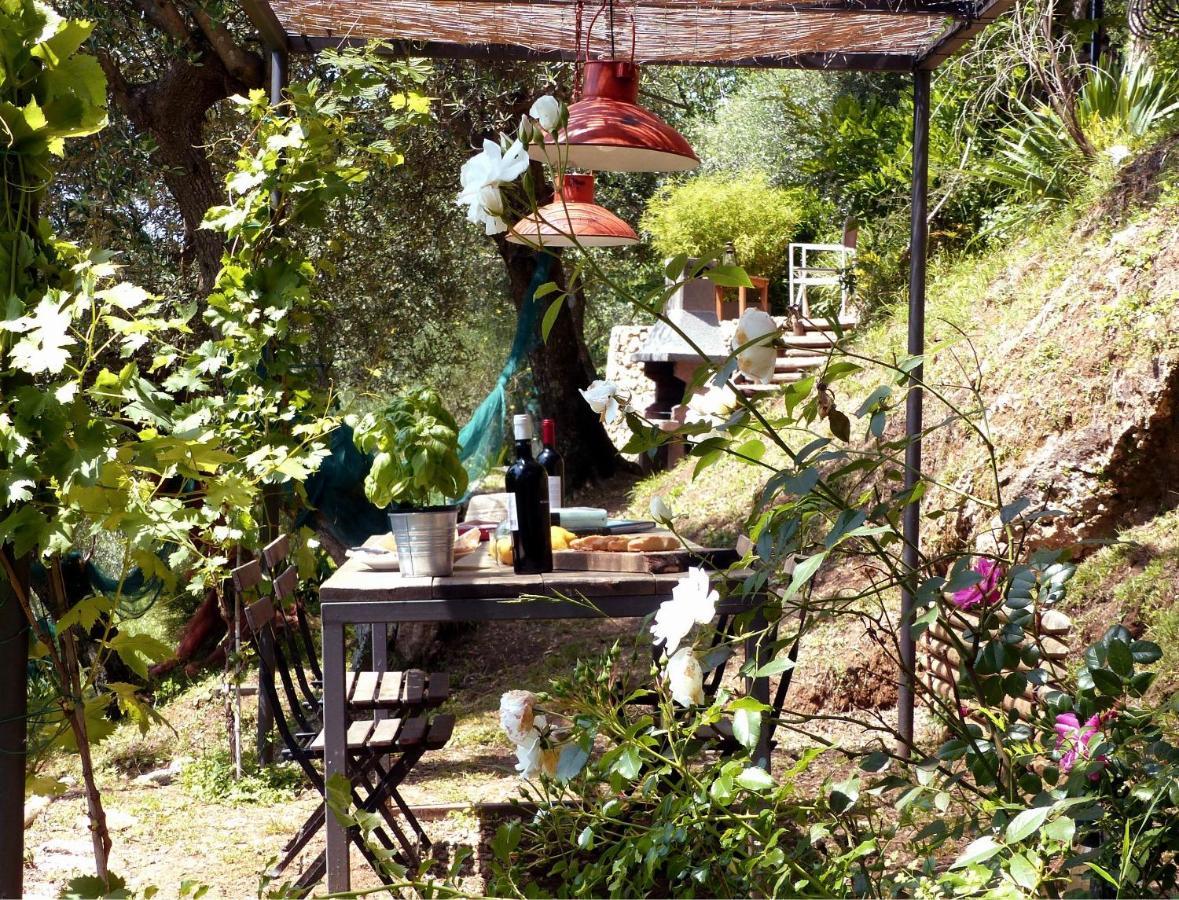 Il Giaggiolo Βίλα Camaiore Εξωτερικό φωτογραφία